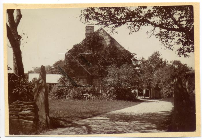 Print, Photographic