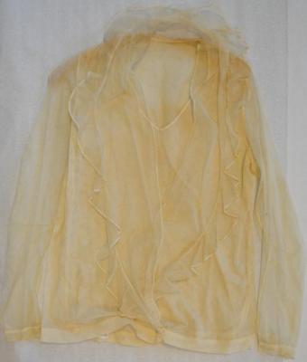 shirt (main garment)