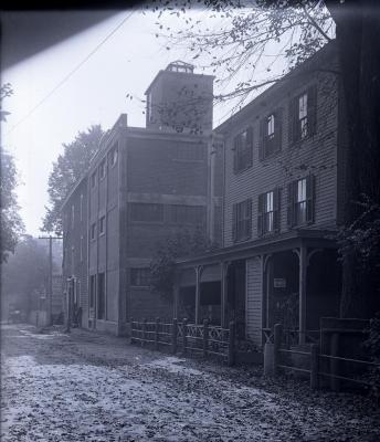 Glass plate negative