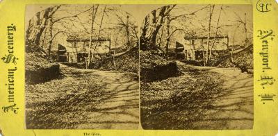 Stereograph     