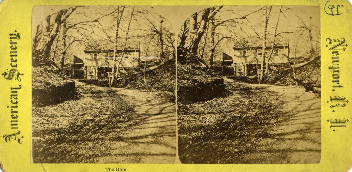 Stereograph     