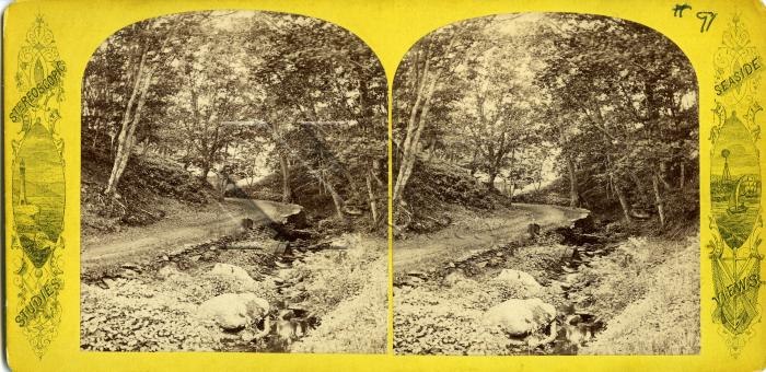 Stereograph 