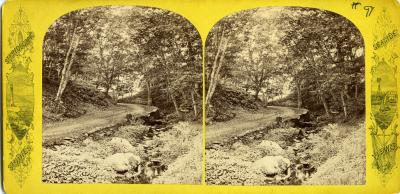 Stereograph 