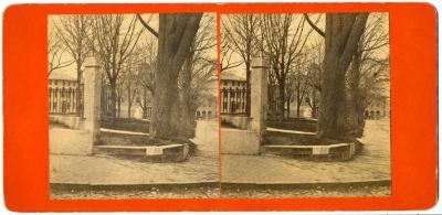 Stereograph